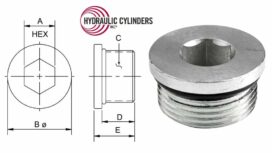 Steel Plug O-Ring Boss