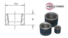 Pipe Thread Half Coupling Ports