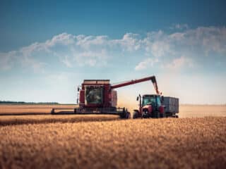 Agriculture