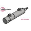 Replacement Bobcat/Rockhound Landscape Rake Lift Cylinder