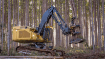 Feller Buncher