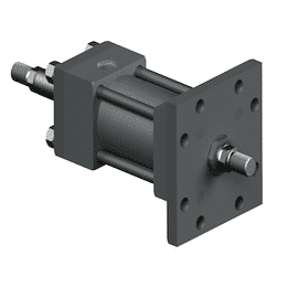 Image for choice number 5